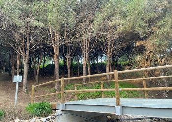 Sendero Arroyo Pantano: un espacio ideal para disfrutar de la naturaleza en Benalmádena