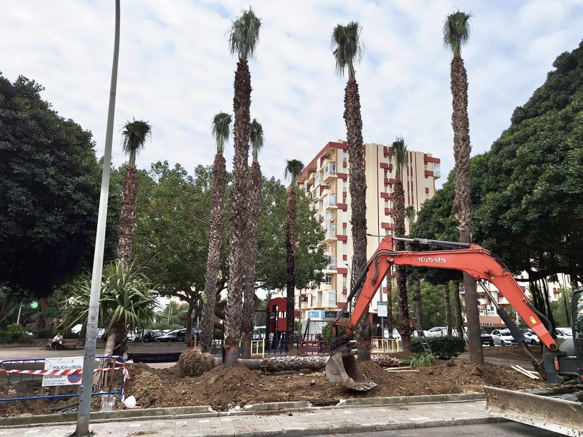 La replantación de palmeras en el Gamonal solo eliminará cuatro plazas de aparcamiento