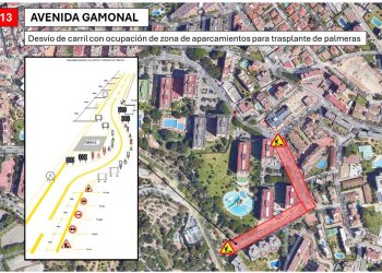 Desvío del tráfico en la Avenida Gamonal por el trasplante de palmeras
