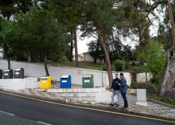El Ayuntamiento actúa en más de cien de zonas contra la procesionaria