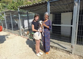Benalmádena y Fidelio trabajan para que los animales acogidos encuentren un hogar en un año