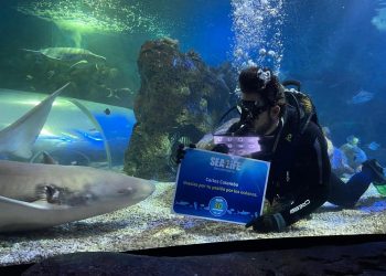 Sea Life Benalmádena suma más de seis millones de visitantes en su 30 aniversario