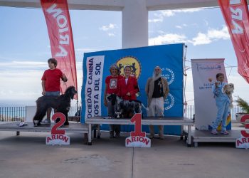 El II Concurso Nacional Canino de Benalmádena reúne a más de 70 razas
