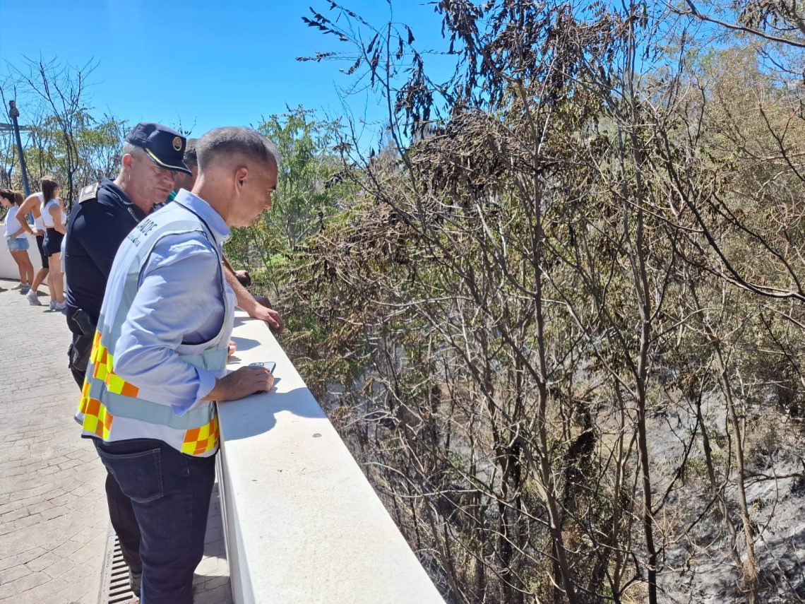 El incendio de Benalmádena ya está controlado y se ha restablecido la circulación del Cercanías