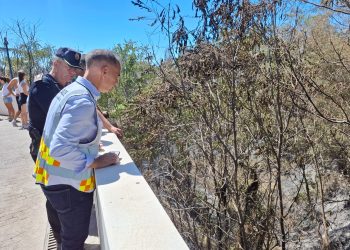 El incendio de Benalmádena ya está controlado y se ha restablecido la circulación del Cercanías