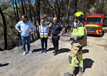 Extinguido el incendio en la zona de Carretera del Sol en Benalmádena