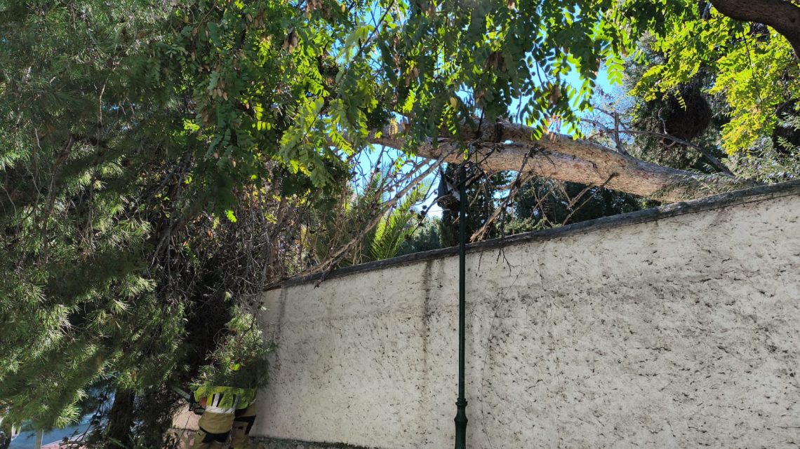 Benalmádena cierra de forma preventiva parques tras incidencias por fuertes rachas de viento