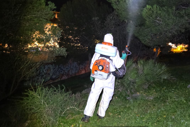Benalmádena refuerza los tratamientos fitosanitarios para combatir la procesionaria y el picudo rojo