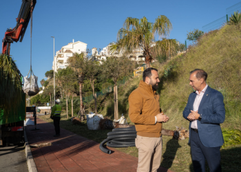 Benalmádena pone en marcha su segundo Plan de Arbolado con la plantación de casi 600 árboles