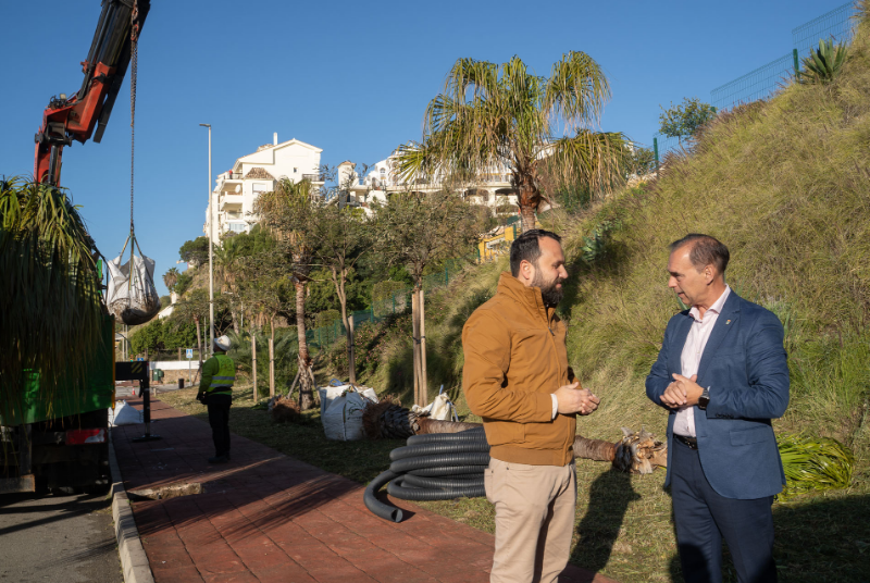 Benalmádena pone en marcha su segundo Plan de Arbolado con la plantación de casi 600 árboles