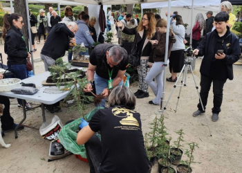 El Parque de la Paloma acogerá este fin de semana una nueva edición de la Feria de Plantas de Colección
